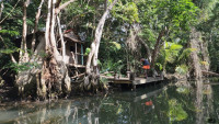 /album/fotogaleria-karibik-island-hopping-zajezd-vy-a-my/island-hopping-zajazd-00-36-jpg1/